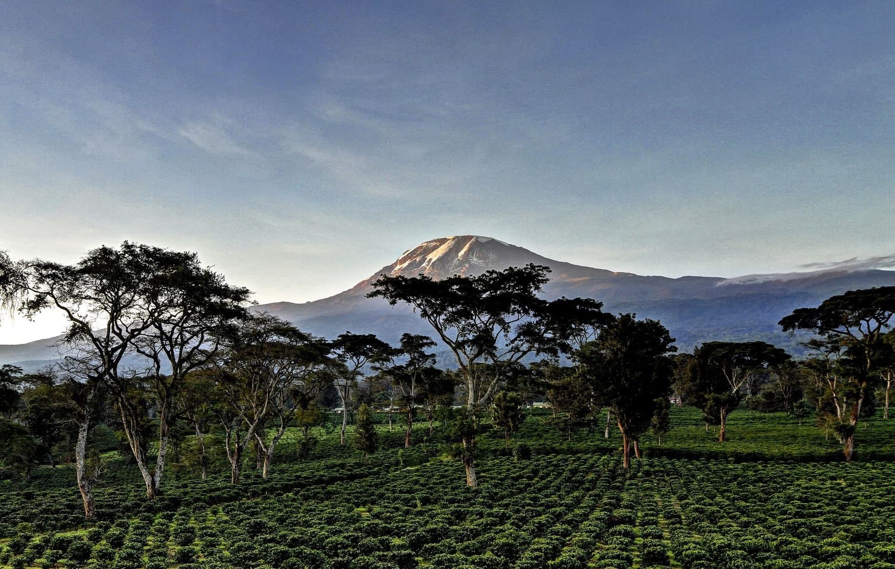 Forged in Volcanic Fire